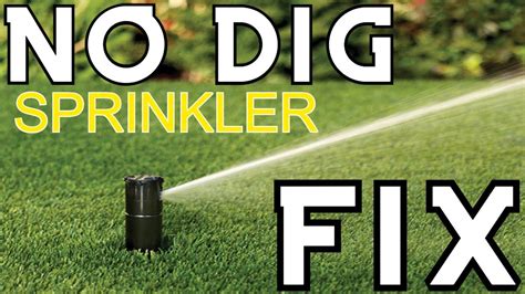 Sprinkler Head Leaking When Off: The Common。